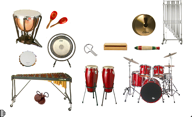 picture of percussion family