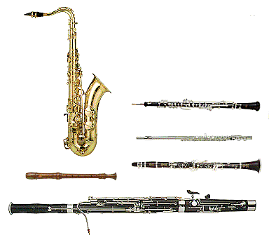 woodwind family picture